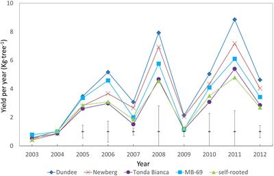 Agronomical and Physiological Behavior of Spanish Hazelnut Selection “Negret-N9” Grafted on Non-suckering Rootstocks